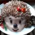 Torta ježek 3D