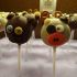 Živalski cake pops - medvedki in pujski